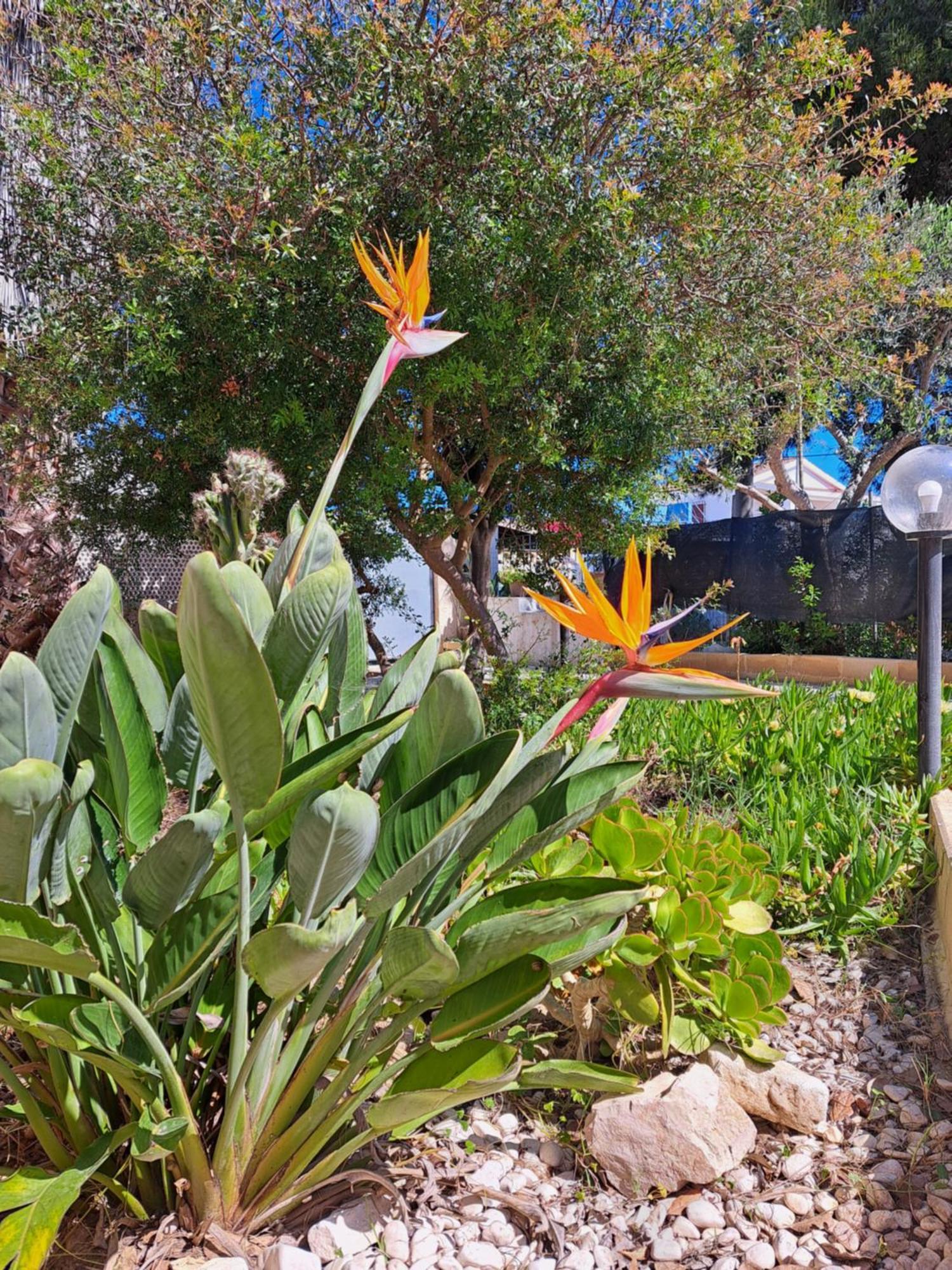 Holiday home La Tramontana *