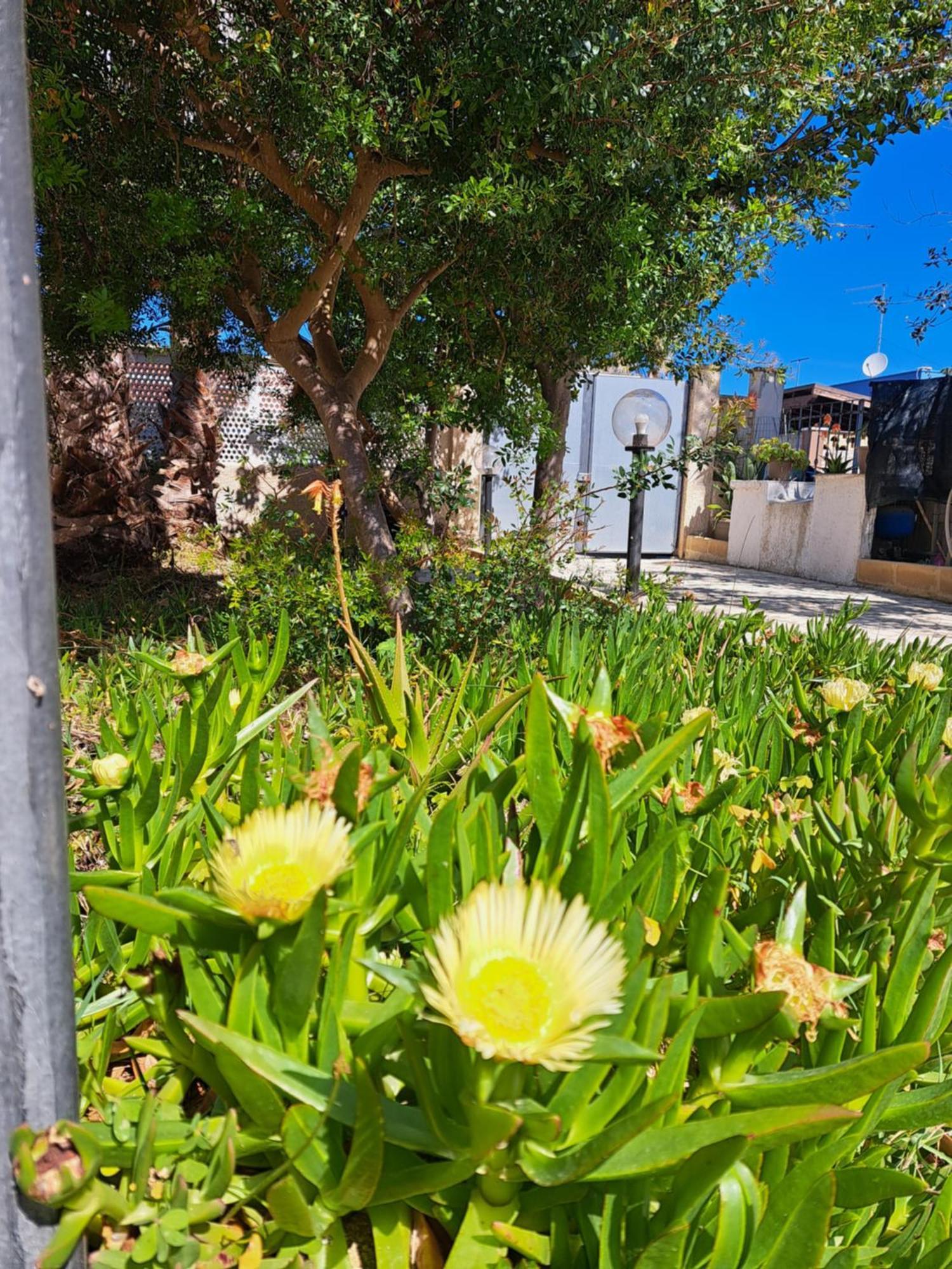 La Tramontana Holiday home Torre San Gennaro